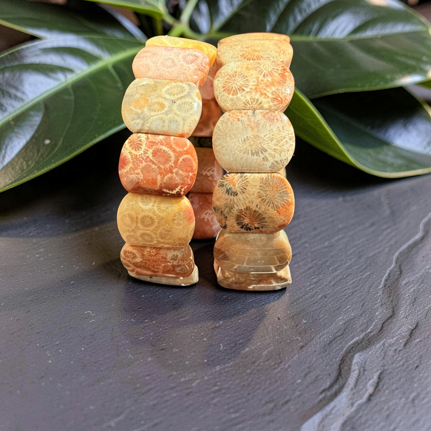 Fossil Coral Gemstone Bangle Bracelet | Wide Cuff Stackable Statement Bracelet