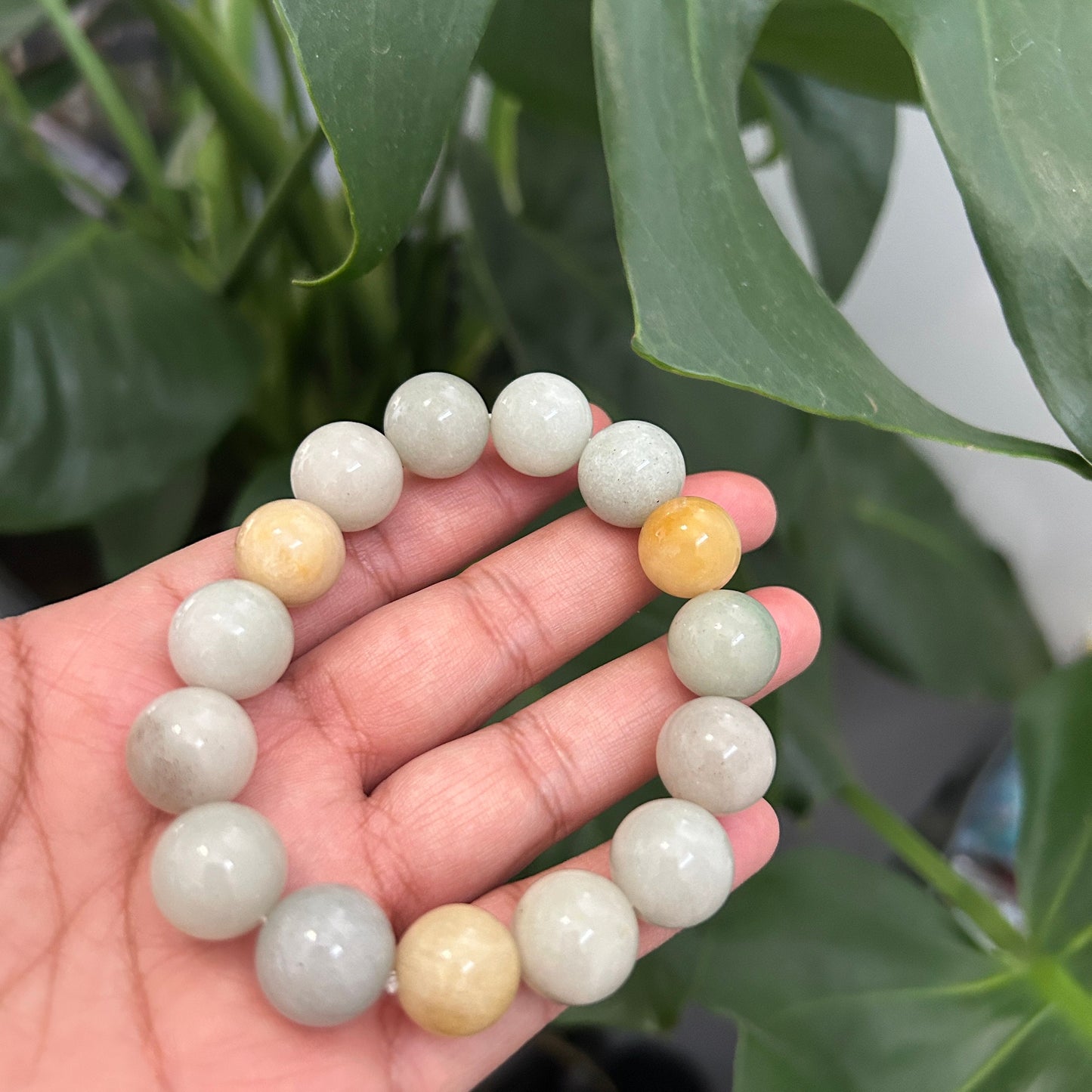 Tricolor Jadeite Bangle: Good Fortune Collection