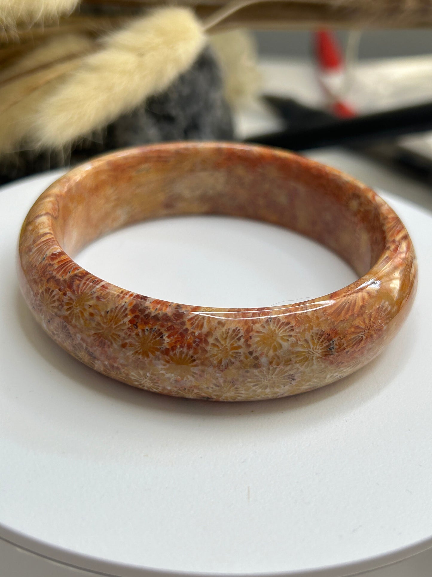 Fossilized Coral Bangle: Celestial Eye Phoenix Tail Jade Bracelet (58.6mm)